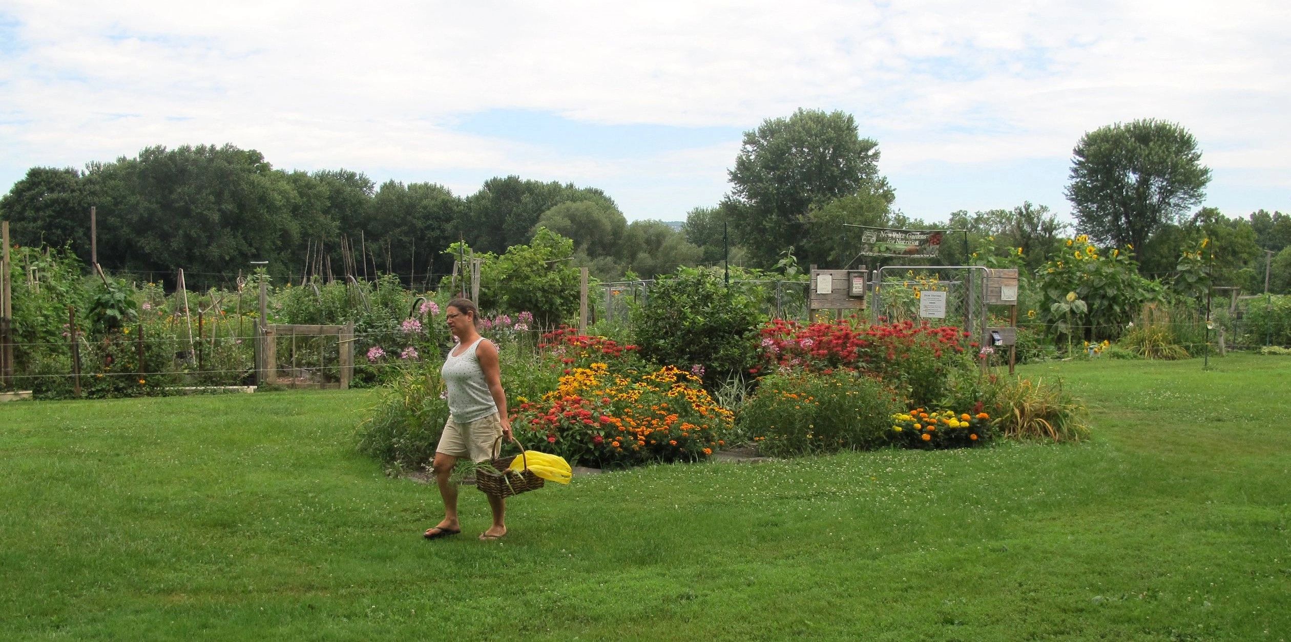 new-paltz-gardens-for-nutrition